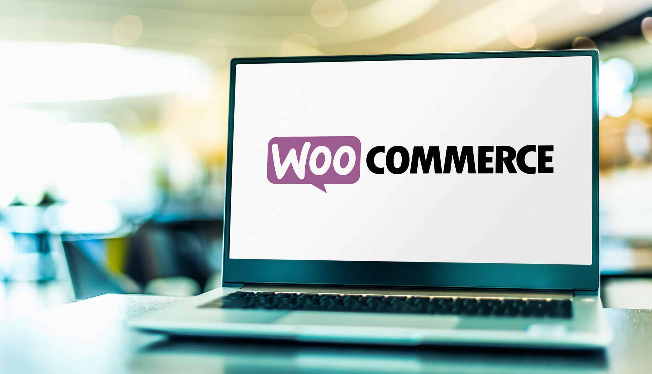 agence-woocommerce-code-source-marketing
